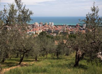 bilutleie Pescara